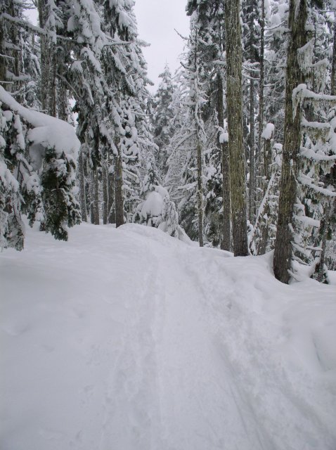 Frog Lake Snowshoe Jan 21 2005 002 